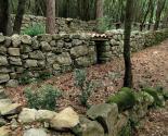 Le mur à abeilles Enricocangini