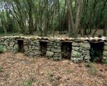 Le mur à abeilles Enricocangini