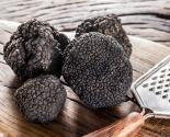 Truffes noires de la marque Pays Cathare