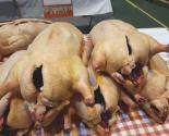 FOIRE AU GRAS CASTELNAUDARY