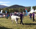 FOIRE ESPEZEL