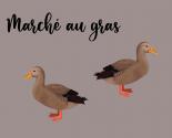Marché au gras