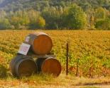 CHATEAU VILLEMAGNE