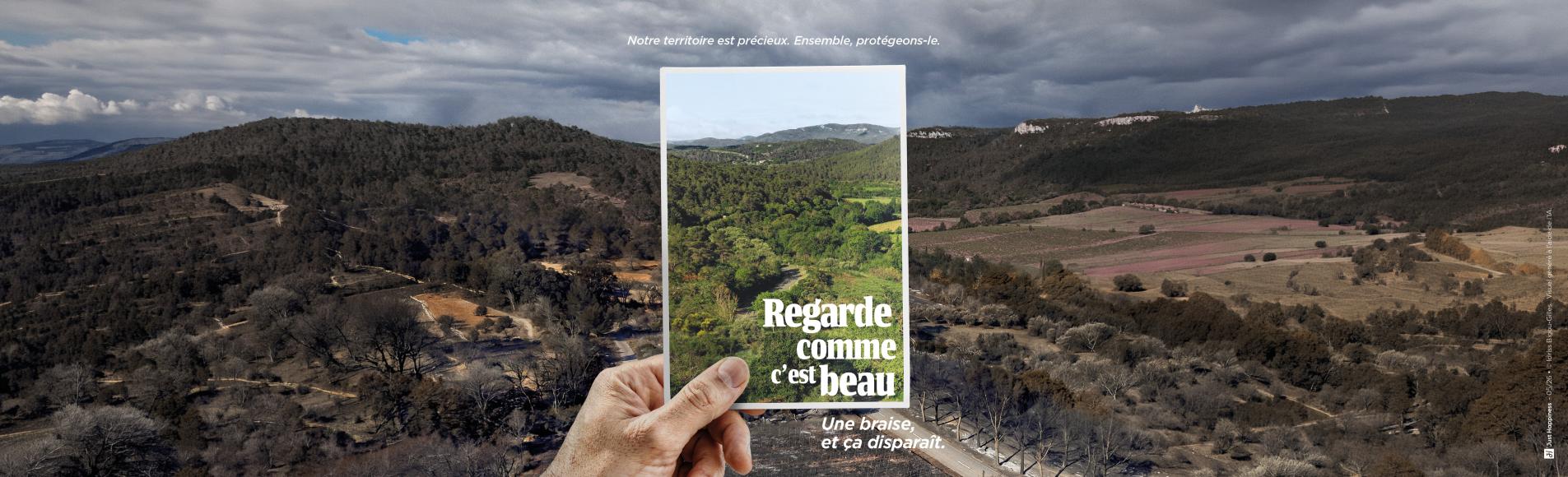 paysage audois brulé par un incendie