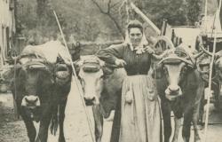 Elles font la campagne