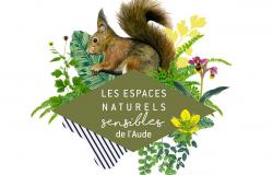 ENS-écureuil