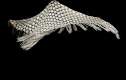 L'extra ordinaire expo photo