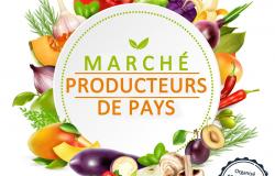 Marché des producteurs Gruissan