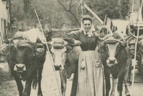 Elles font la campagne