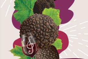 Les Ampélofolies du Cabardès