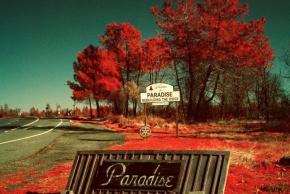 Paradise Maxime Riché