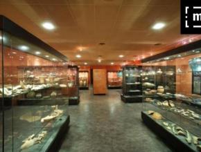 musée archéologique Eburomagus, à Bram