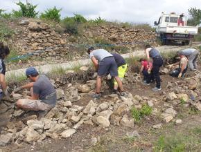 restauration des murets du vignoble de Cascastel-des-Corbières en faveur du lézard ocellé