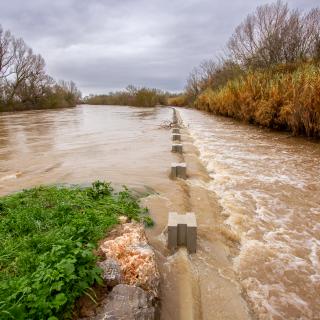 Inondations à Coursan dans l'Aude, en janvier 2026