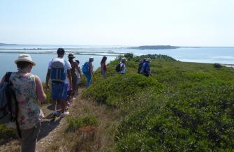 Balade sur l'île de l'Aute dans l'Aude