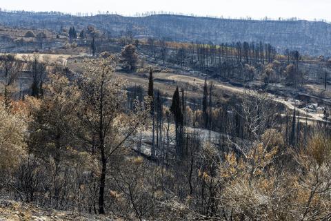 Le méga feu des Corbières a ravagé 11 000 hectares, sur une superficie de 17 000 hectares.