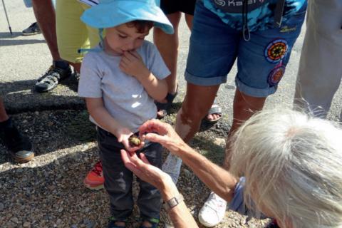 Petit garçon tenant une grenouille dans sa main.