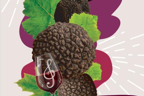 Les Ampélofolies du Cabardès