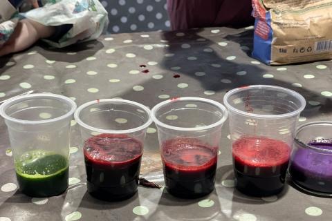 Moulin a papier de Brousses - Atelier Peintures végétales pots de peinture