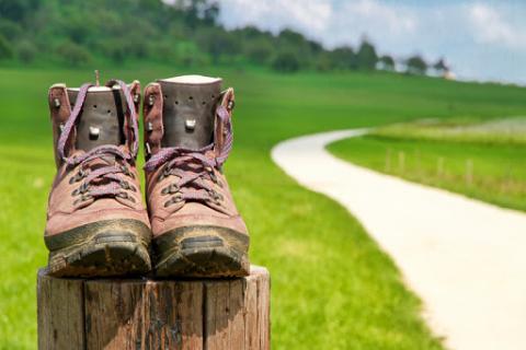 shoes Jürgen Fälchle - Fotolia