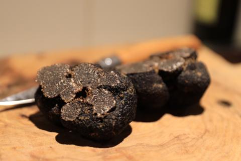 Truffes fraiches