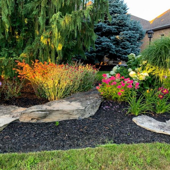 jardin en fleurs