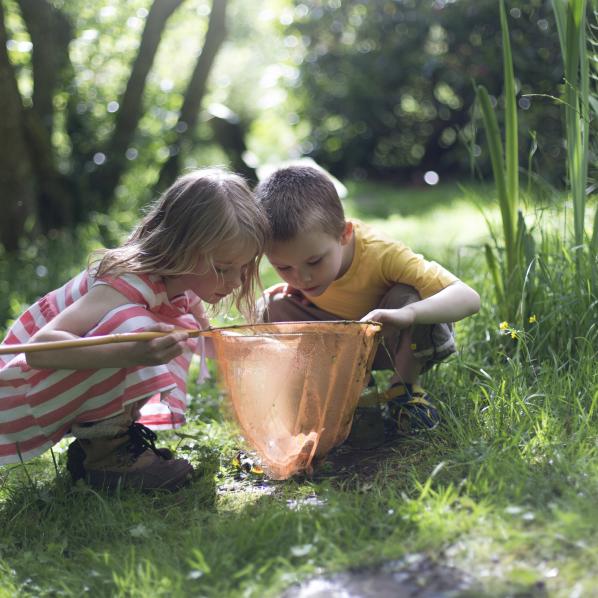 Des enfants cherchant à pêcher avec leur epuisette