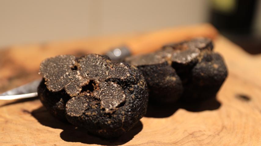Truffes fraiches