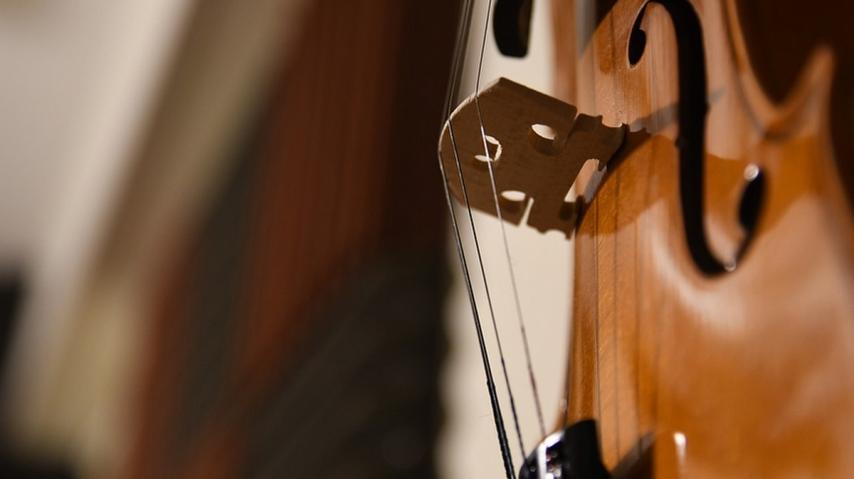 violon