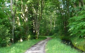 SENTIER VELO RIGOLE MONTAGNE NOIRE CAMMAZES